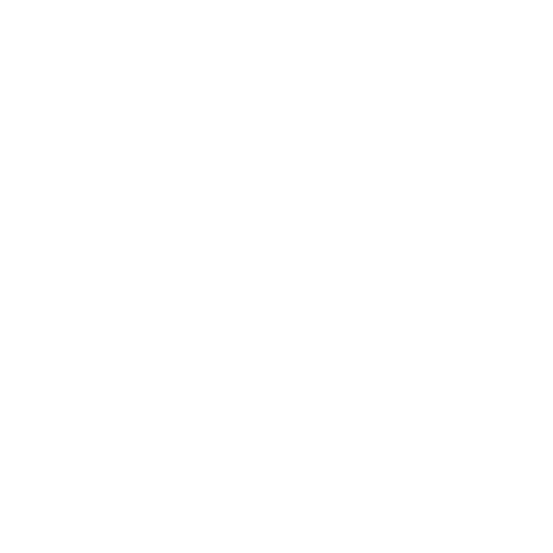Fast Feet Logo 1 - Geelong White
