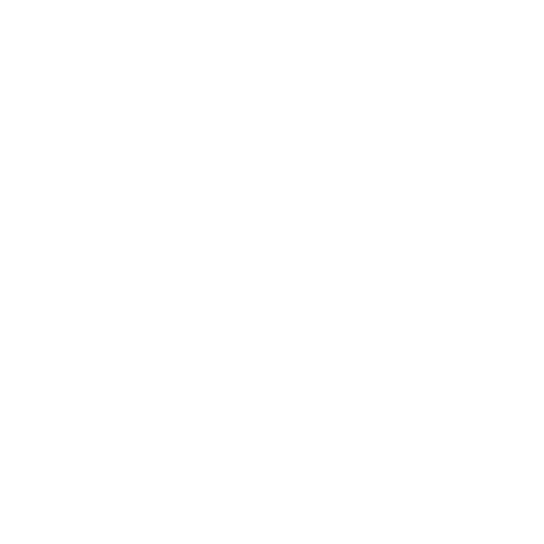 Fast Feet Logo 1 - White